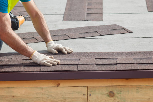 Best Asphalt Shingle Roofing  in Avonia, PA